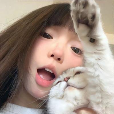 猫和老鼠：飙风天王